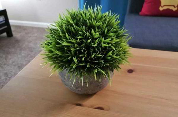 Обзор смартфона Honor Magic 2: яркого слайдера без рамок Обзор смартфона Honor Magic 2: яркого слайдера без рамок