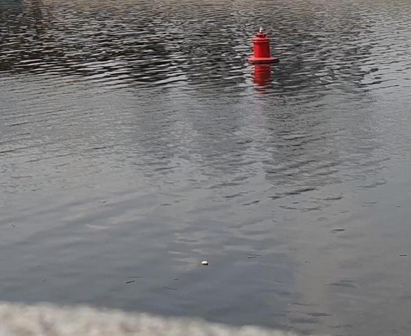 Какой смартфон снимает лучше: фототест для Huawei P30 Pro, Samsung Galaxy S10 и Xiaomi Mi 9 Какой смартфон снимает лучше: фототест для Huawei P30 Pro, Samsung Galaxy S10 и Xiaomi Mi 9