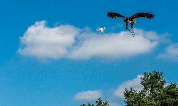 Два неизвестных дрона парализовали работу лондонского аэропорта Гатвик Два неизвестных дрона парализовали работу лондонского аэропорта Гатвик