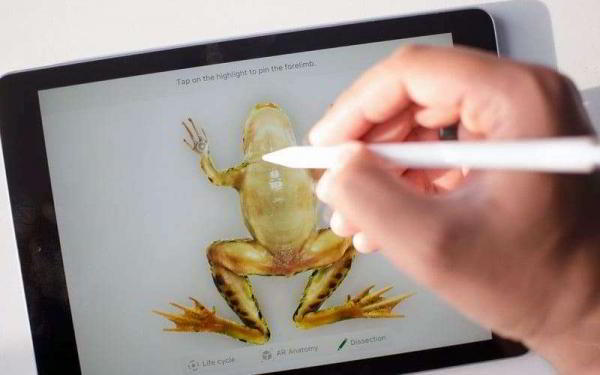 Обзор Apple iPad (2018) — Новый iPad почти не обновлён, но остаётся королём планшетов Обзор Apple iPad (2018) — Новый iPad почти не обновлён, но остаётся королём планшетов