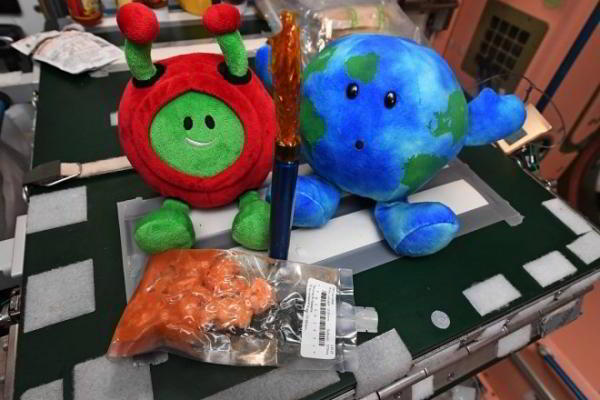 Астронавты на МКС похитили маленькую Землю, и теперь она полноправный член команды Астронавты на МКС похитили маленькую Землю, и теперь она полноправный член команды