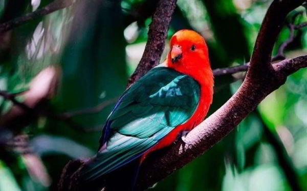 Обзор Panasonic Lumix G9 — Лучшая беззеркальная камера для фотографа Обзор Panasonic Lumix G9 — Лучшая беззеркальная камера для фотографа