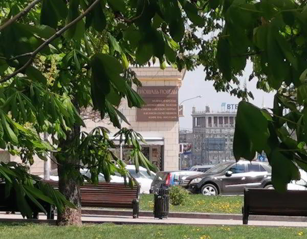 Какой смартфон снимает лучше: фототест для Huawei P30 Pro, Samsung Galaxy S10 и Xiaomi Mi 9 Какой смартфон снимает лучше: фототест для Huawei P30 Pro, Samsung Galaxy S10 и Xiaomi Mi 9