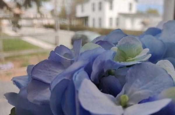 Обзор Black Shark 2: ещё один укус кошелька геймера Обзор Black Shark 2: ещё один укус кошелька геймера