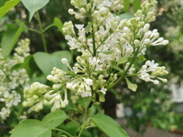 Обзор Huawei P30 Pro: на пути к идеальному смартфону Обзор Huawei P30 Pro: на пути к идеальному смартфону