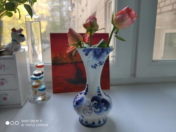 Обзор Xiaomi Mi 9: недорогой флагман Обзор Xiaomi Mi 9: недорогой флагман