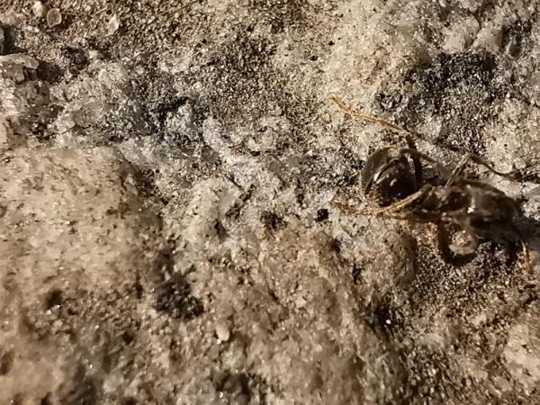 Обзор Huawei P30 Pro: на пути к идеальному смартфону Обзор Huawei P30 Pro: на пути к идеальному смартфону