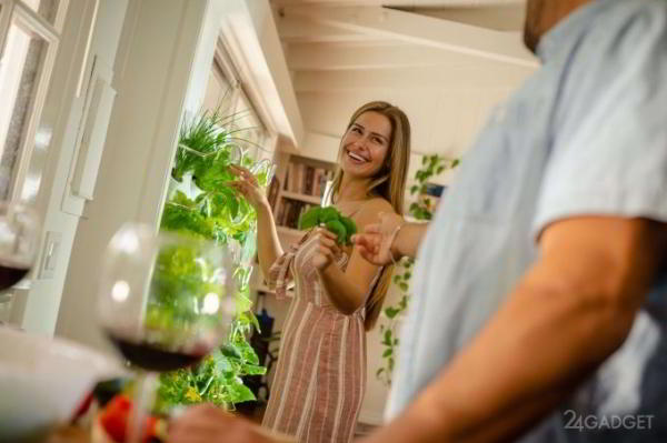 iHarvest – гидропонный домашний сад, вдвое ускоряющий рост овощей (7 фото + видео) iHarvest – гидропонный домашний сад, вдвое ускоряющий рост овощей (7 фото + видео)