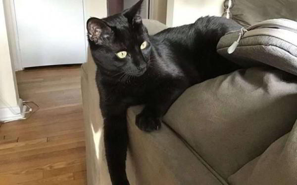 Обзор Apple iPad (2018) — Новый iPad почти не обновлён, но остаётся королём планшетов Обзор Apple iPad (2018) — Новый iPad почти не обновлён, но остаётся королём планшетов