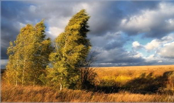 Как «майнить» криптовалюту при помощи ветрогенератора для благих целей? Как «майнить» криптовалюту при помощи ветрогенератора для благих целей?