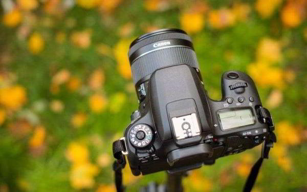 Обзор Canon EOS 77D — Средний ребёнок, которого вы по-прежнему любите Обзор Canon EOS 77D — Средний ребёнок, которого вы по-прежнему любите