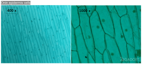 Tipscope превратит любой смартфон в микроскоп (4 фото + видео) Tipscope превратит любой смартфон в микроскоп (4 фото + видео)