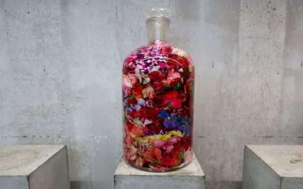 Фотоаппарат Canon G1X Mark III — Обзор улучшенной и более компактной камеры Фотоаппарат Canon G1X Mark III — Обзор улучшенной и более компактной камеры