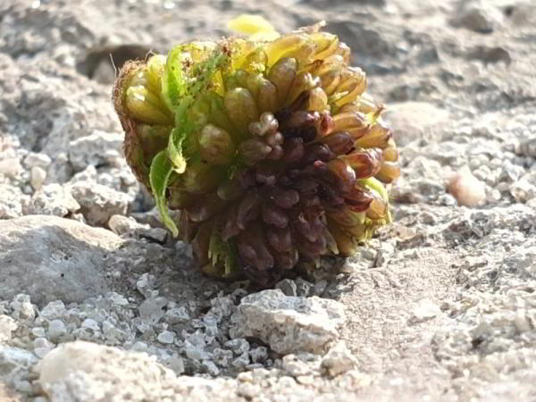 Какой смартфон снимает лучше: фототест для Huawei P30 Pro, Samsung Galaxy S10 и Xiaomi Mi 9 Какой смартфон снимает лучше: фототест для Huawei P30 Pro, Samsung Galaxy S10 и Xiaomi Mi 9