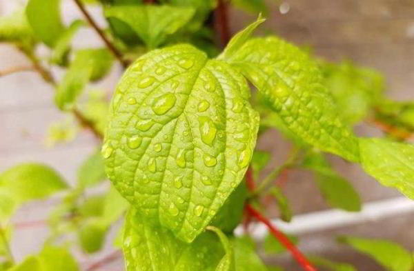 Обзор Motorola One Vision: недорогой телефон с чистым Android Обзор Motorola One Vision: недорогой телефон с чистым Android