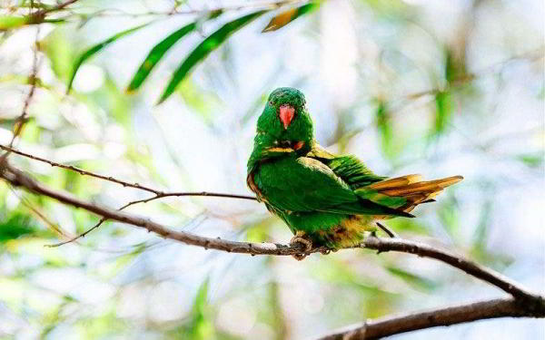 Обзор Panasonic Lumix G9 — Лучшая беззеркальная камера для фотографа Обзор Panasonic Lumix G9 — Лучшая беззеркальная камера для фотографа