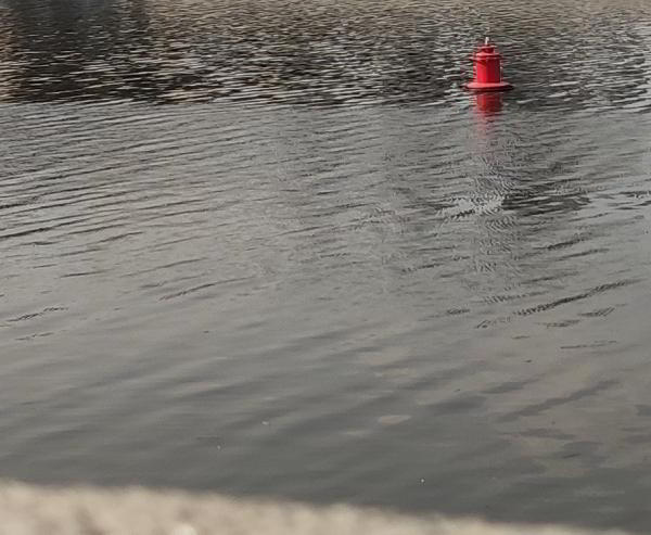 Какой смартфон снимает лучше: фототест для Huawei P30 Pro, Samsung Galaxy S10 и Xiaomi Mi 9 Какой смартфон снимает лучше: фототест для Huawei P30 Pro, Samsung Galaxy S10 и Xiaomi Mi 9