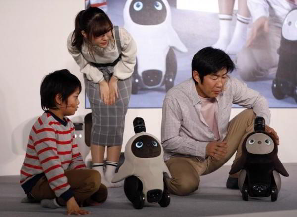 В Японии набирает популярность Lovot – робот с интеллектом хомячка и любовью к обнимашкам В Японии набирает популярность Lovot – робот с интеллектом хомячка и любовью к обнимашкам