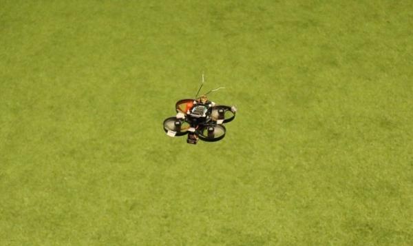 Голландские инженеры разработали самый маленький гоночный дрон в мире Голландские инженеры разработали самый маленький гоночный дрон в мире