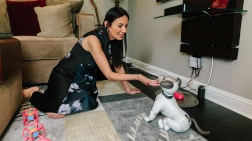 Yes, the robot dog ate your privacy Yes, the robot dog ate your privacy