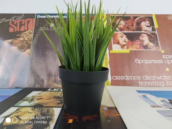 Обзор Redmi 7: симпатичный бюджетник с отличным временем работы Обзор Redmi 7: симпатичный бюджетник с отличным временем работы