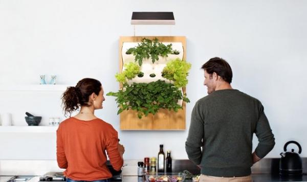 Домашняя микроферма Herbert обеспечит овощами круглый год Домашняя микроферма Herbert обеспечит овощами круглый год