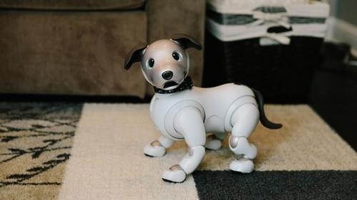 Yes, the robot dog ate your privacy Yes, the robot dog ate your privacy