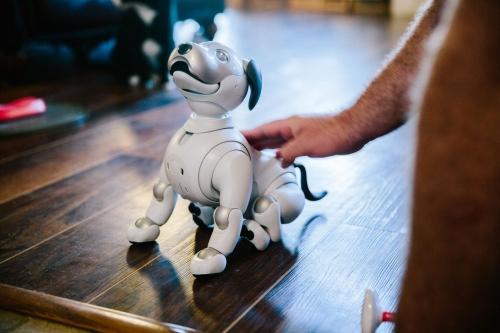 Yes, the robot dog ate your privacy Yes, the robot dog ate your privacy