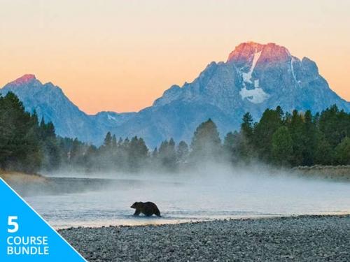 Learn how to photograph landscapes and wildlife with this $29 bundle