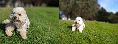 Pixel 3A vs. Moto G7: What's the best budget phone? Pixel 3A vs. Moto G7: What's the best budget phone?