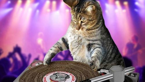 Amazon Prime Day 2019 Kindle models on sale: $60 Kindle, $85 Paperwhite, $175 Oasis Amazon Prime Day 2019 Kindle models on sale: $60 Kindle, $85 Paperwhite, $175 Oasis