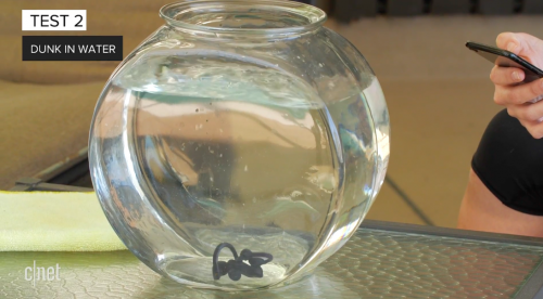 AirPods vs. Powerbeats Pro vs. Galaxy Buds: Which survived our water test? AirPods vs. Powerbeats Pro vs. Galaxy Buds: Which survived our water test?