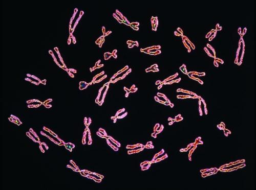 How sharing your DNA solves horrible crimes... and stirs a privacy debate How sharing your DNA solves horrible crimes... and stirs a privacy debate