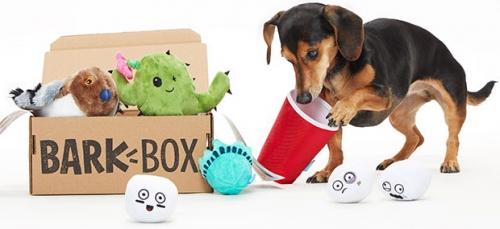 The Subscription Model: The Shining Star of E-Commerce The Subscription Model: The Shining Star of E-Commerce