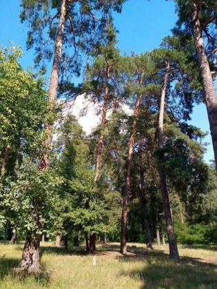 Обзор Tecno Pop 2S Pro - бюджетник стоимостью до $100 Обзор Tecno Pop 2S Pro - бюджетник стоимостью до $100