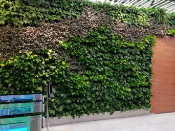 Обзор Huawei P smart Z с большим необрезанным экраном и выдвижной камерой + Розыгрыш смартфона! Обзор Huawei P smart Z с большим необрезанным экраном и выдвижной камерой + Розыгрыш смартфона!