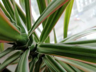 Обзор Huawei P smart Z с большим необрезанным экраном и выдвижной камерой + Розыгрыш смартфона! Обзор Huawei P smart Z с большим необрезанным экраном и выдвижной камерой + Розыгрыш смартфона!