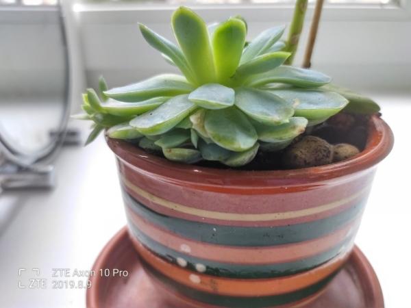 Обзор смартфона ZTE Axon 10 Pro: почти как флагман, но вдвое дешевле Обзор смартфона ZTE Axon 10 Pro: почти как флагман, но вдвое дешевле