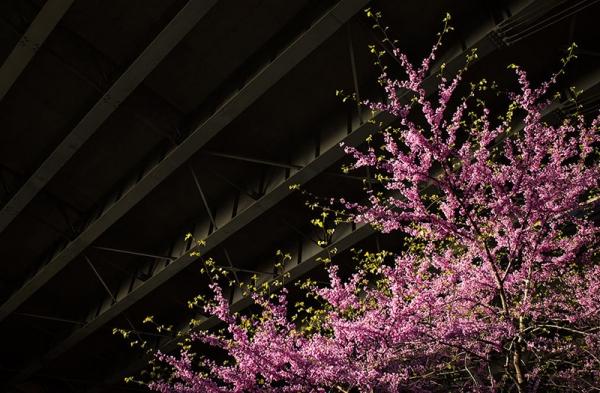 Обзор Ricoh GR III: компактная камера, снимающая как DSLR Обзор Ricoh GR III: компактная камера, снимающая как DSLR