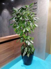 Обзор Huawei P smart Z с большим необрезанным экраном и выдвижной камерой + Розыгрыш смартфона! Обзор Huawei P smart Z с большим необрезанным экраном и выдвижной камерой + Розыгрыш смартфона!