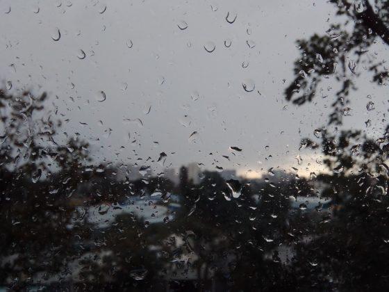 Обзор TP-Link Neffos C7s - удачный ультрабюджетник Обзор TP-Link Neffos C7s - удачный ультрабюджетник