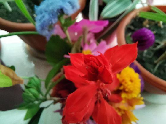 Обзор Honor 20 Pro — работа над ошибками? Обзор Honor 20 Pro — работа над ошибками?