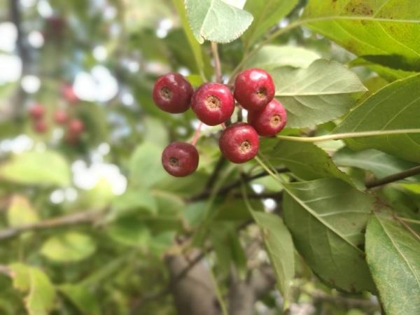 Обзор смартфона ZTE Axon 10 Pro: почти как флагман, но вдвое дешевле Обзор смартфона ZTE Axon 10 Pro: почти как флагман, но вдвое дешевле