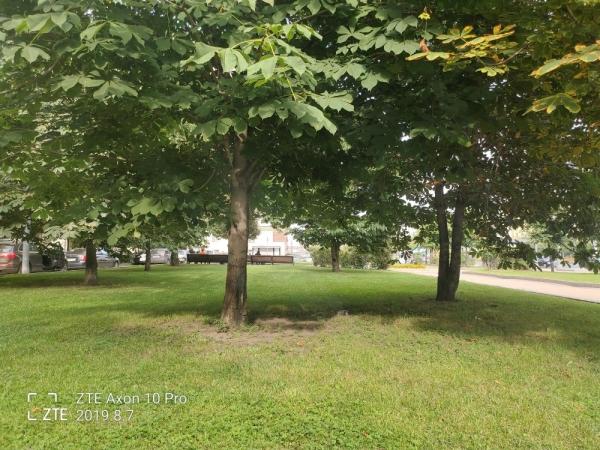 Обзор смартфона ZTE Axon 10 Pro: почти как флагман, но вдвое дешевле Обзор смартфона ZTE Axon 10 Pro: почти как флагман, но вдвое дешевле