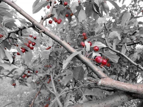 Обзор смартфона ZTE Axon 10 Pro: почти как флагман, но вдвое дешевле Обзор смартфона ZTE Axon 10 Pro: почти как флагман, но вдвое дешевле