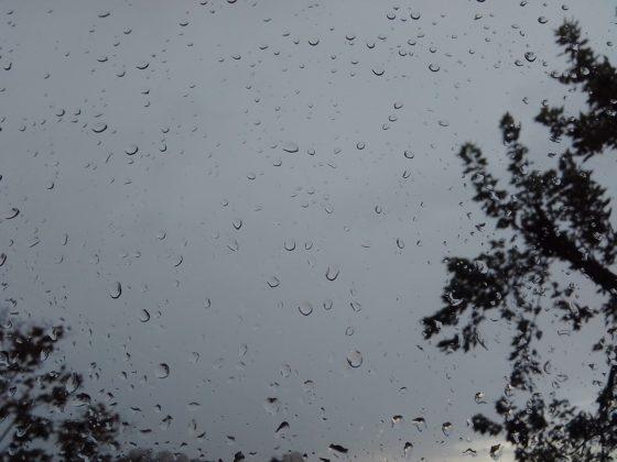 Обзор TP-Link Neffos C7s - удачный ультрабюджетник Обзор TP-Link Neffos C7s - удачный ультрабюджетник