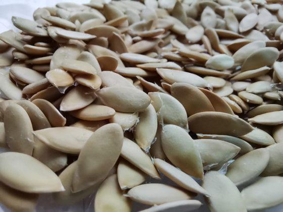 Обзор Honor 20 Pro — работа над ошибками? Обзор Honor 20 Pro — работа над ошибками?