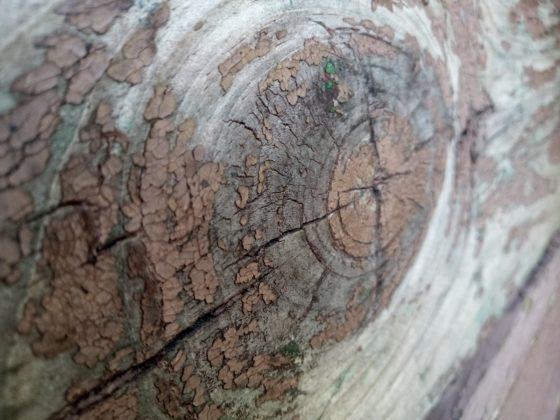 Обзор Nokia 2.2 — ультрабюджетник на Android One Обзор Nokia 2.2 — ультрабюджетник на Android One