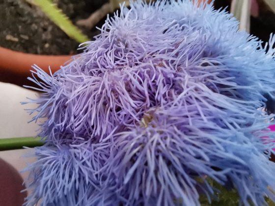 Обзор Honor 20 Pro — работа над ошибками? Обзор Honor 20 Pro — работа над ошибками?