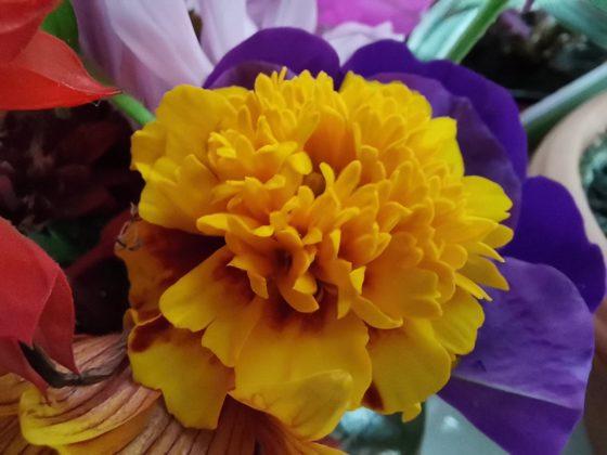 Обзор Honor 20 Pro — работа над ошибками? Обзор Honor 20 Pro — работа над ошибками?